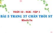 Bài 5 trang 37 Toán 12 Tập 1 Chân trời sáng tạo